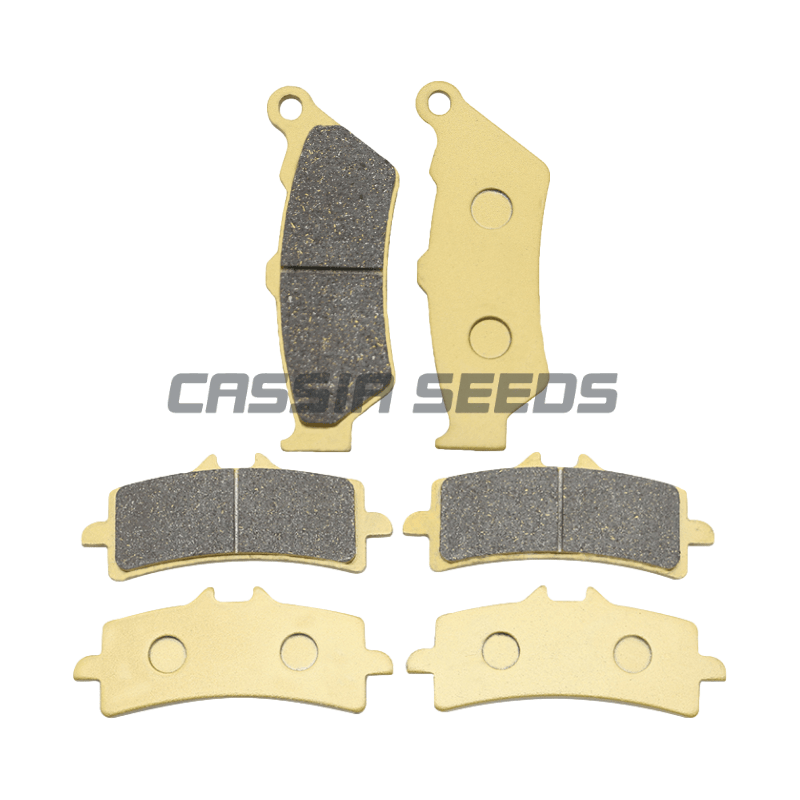 Pastiglie freno anteriori e po - Carbon Ceramic Motorcycle Brake Rotor recensione e prezzo