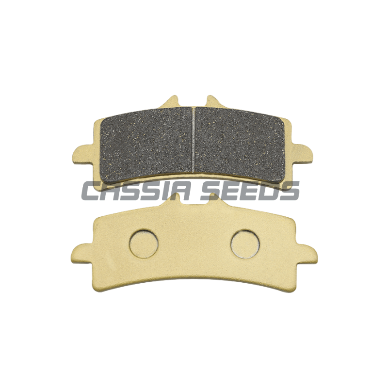 Pastiglie freno anteriori e po - Carbon Ceramic Motorcycle Brake Rotor recensione e prezzo